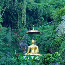 Buddha in the jungle